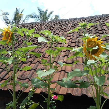 Ming Homestay Sidemen  Dış mekan fotoğraf