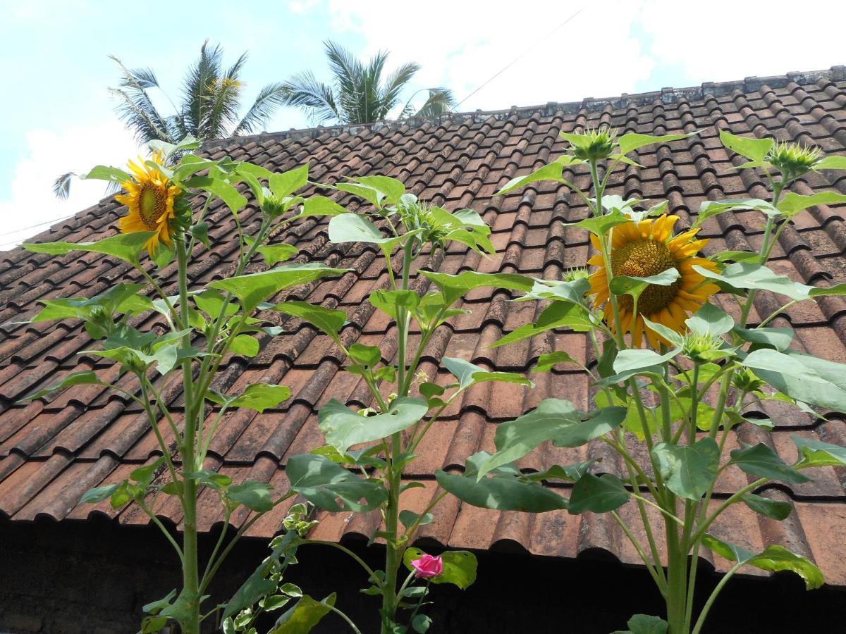 Ming Homestay Sidemen  Dış mekan fotoğraf