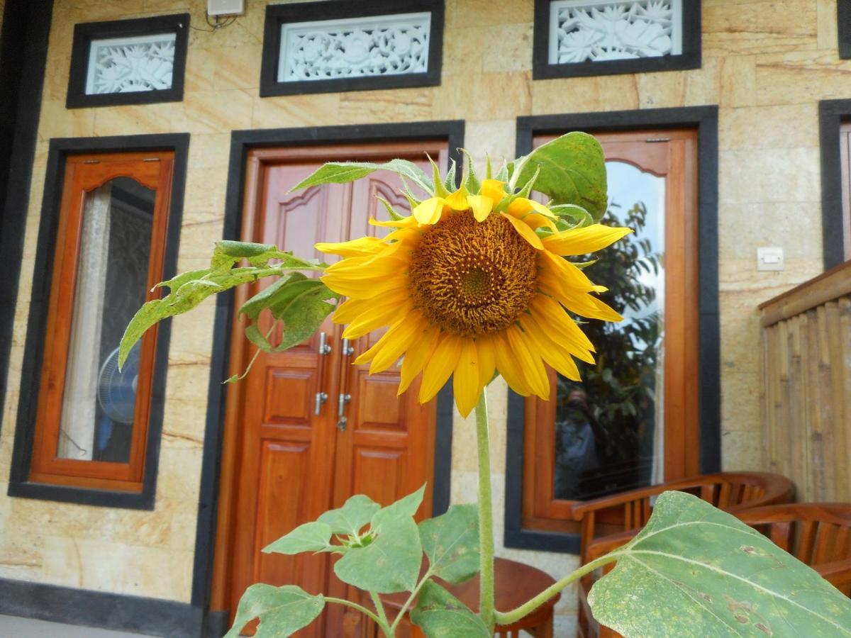 Ming Homestay Sidemen  Dış mekan fotoğraf